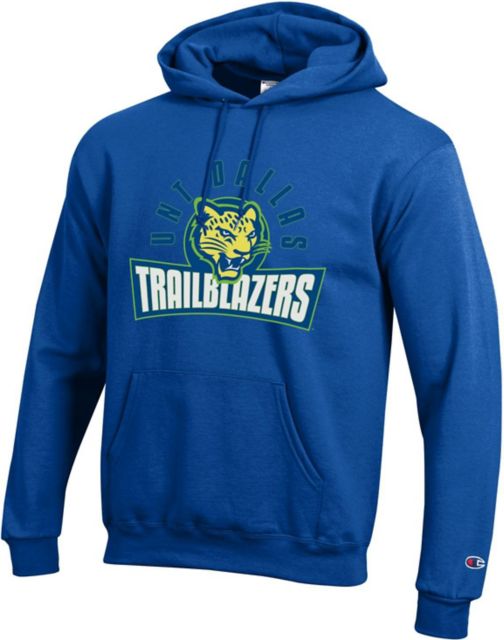 University of pittsburgh discount hoodie