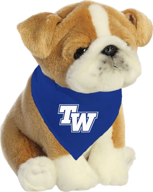 Tennessee Wesleyan University Plush