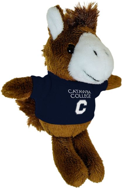 Catawba College Plush Magnet
