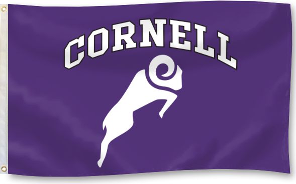 Cornell College Rams Regulation Cornhole Game Set Vintage Version - ONLINE  ONLY: Cornell College