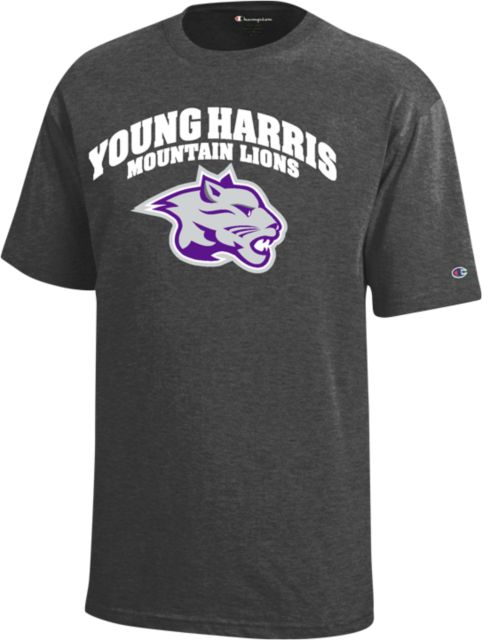 Young Harris Youth Champion Granite Heather Short Sleeve Tee Young Harris Mountain Lions Arched