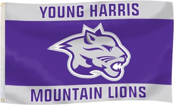 Young Harris College Mountain Lions 3' x 5' Durawave Flag