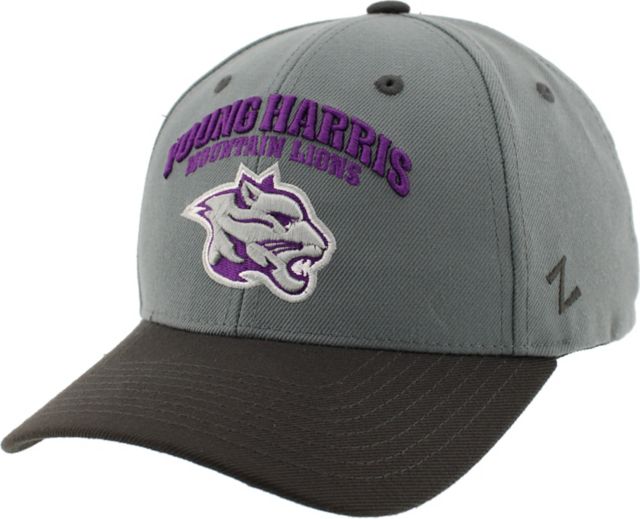 Young Harris College Mountain Lions Cap