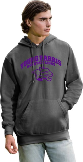 Young Harris College Mountain Lions Hooded Sweatshirt