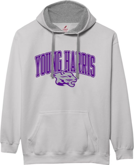 Young Harris College Mountain Lions Colorblock Hooded Sweatshirt