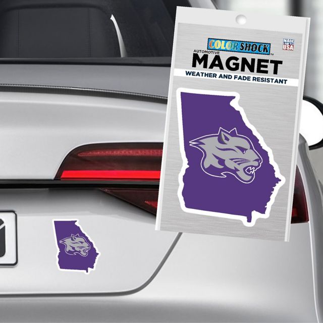 Young Harris College 4x4 Magnet