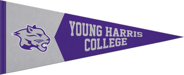 Young Harris College Pennant