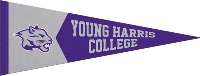 Young Harris College Mountain Lions 9x24 Pennant