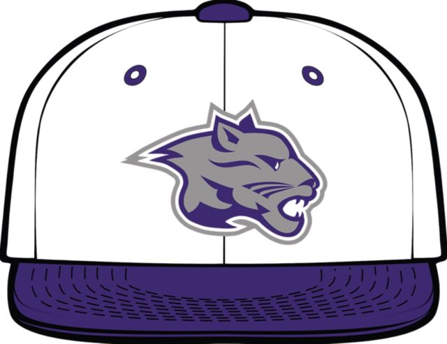 Young Harris College Mountain Lions Snapback Cap