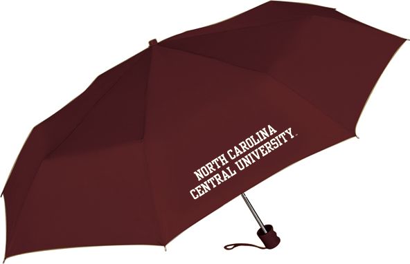 University Of South Carolina – Clear Stadium Bags by Capri Designs