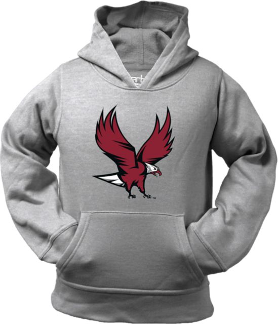 Toddler eagles hot sale hoodie