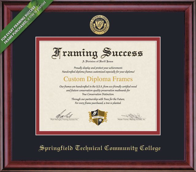 Framing Success Classic 8 x 10 Diploma with Double mat- ONLINE ONLY