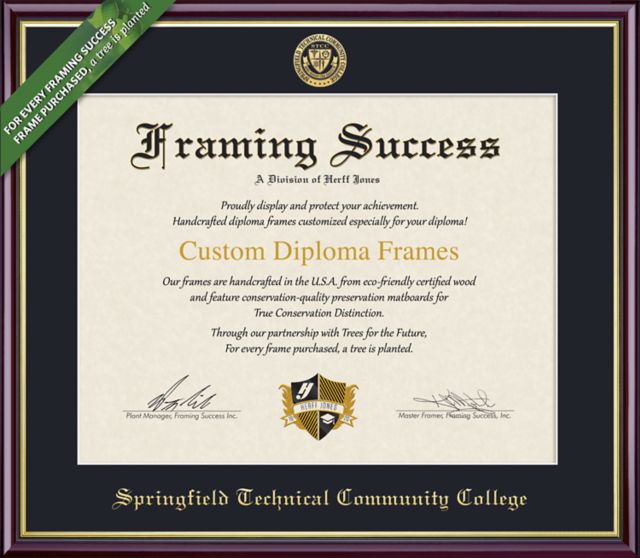 Framing Success Academic 8 x 10 Diploma with Single mat- ONLINE ONLY