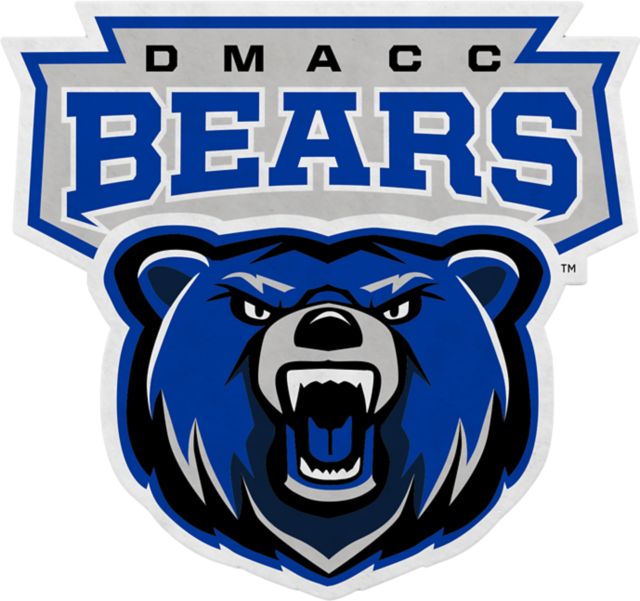 Des Moines Area Community College Bears 18x18 Pennant