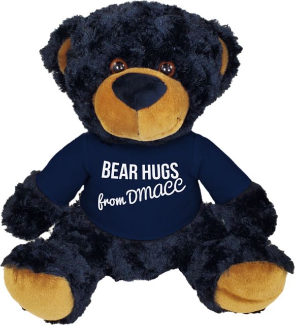 Des Moines Area Community College- Boone 10 in. Plush Bear