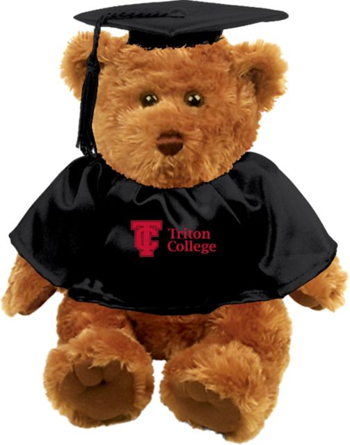 Triton College Graduation Bear