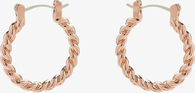 ROPE HOOP EARRING RGOL