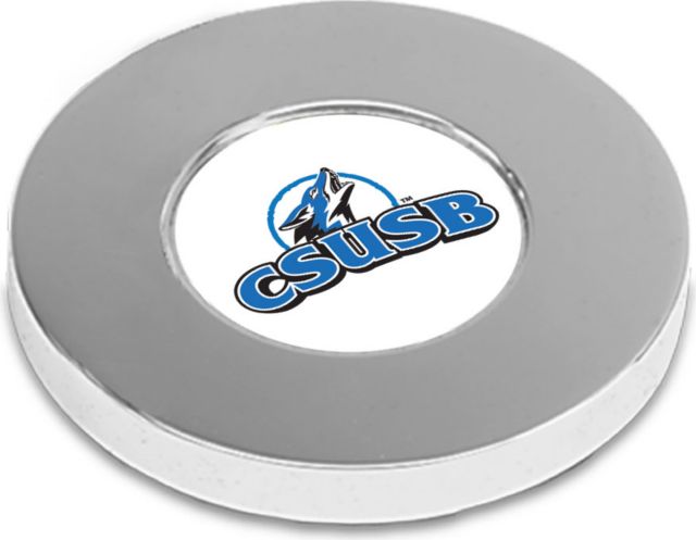 CSI Silver Paperwitheight (Gift Boxed) With Colored Medallion - ONLINE ONLY