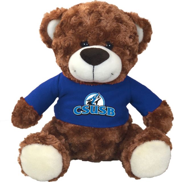 graduation teddy bear card factory