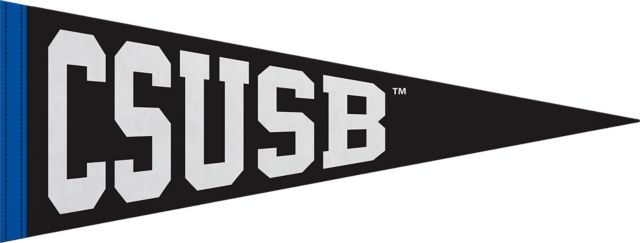 California State University San Bernardino 9x24 Pennant