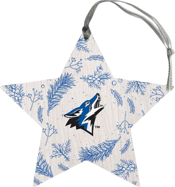 California State Univ San Bernardino - Palm Desert Star Ornament