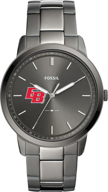 Fossil The Minimalist Three-Hand Smoke Stainless Steel Watch - ONLINE ONLY