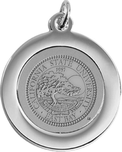 Silver Pendant/Charm - ONLINE ONLY