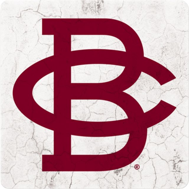 Boston College Eagles 4'' x 4'' Coaster