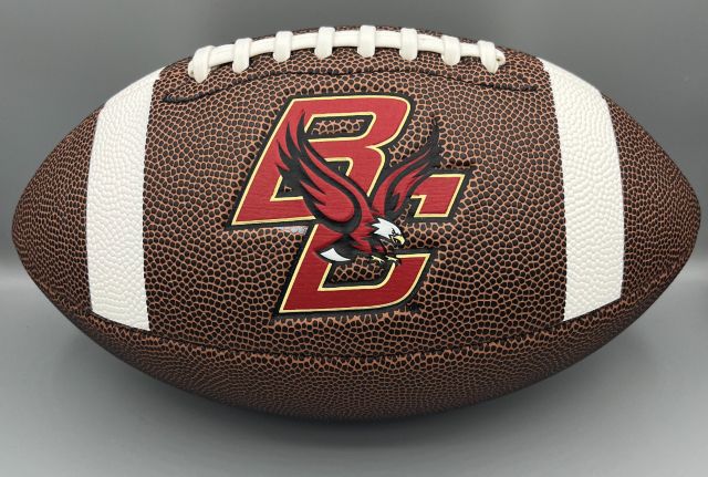 Logo Arizona Cardinals Mini Size Composite Football