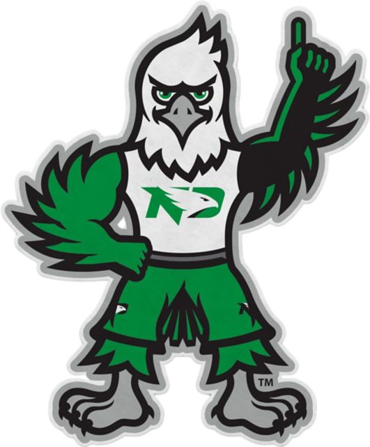 University of North Dakota Fighting Hawks 18x18 Pennant