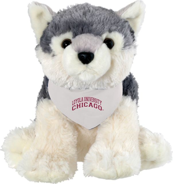 University of Chicago Pet Bandana