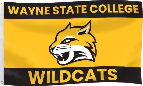 College Wayne State