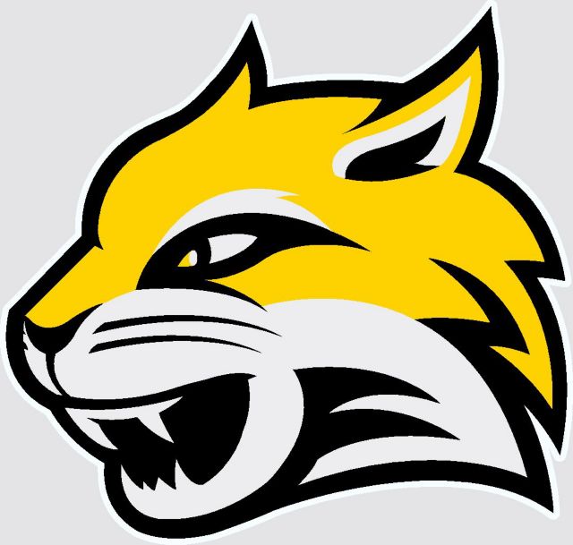 Wayne State College Wildcats Decal