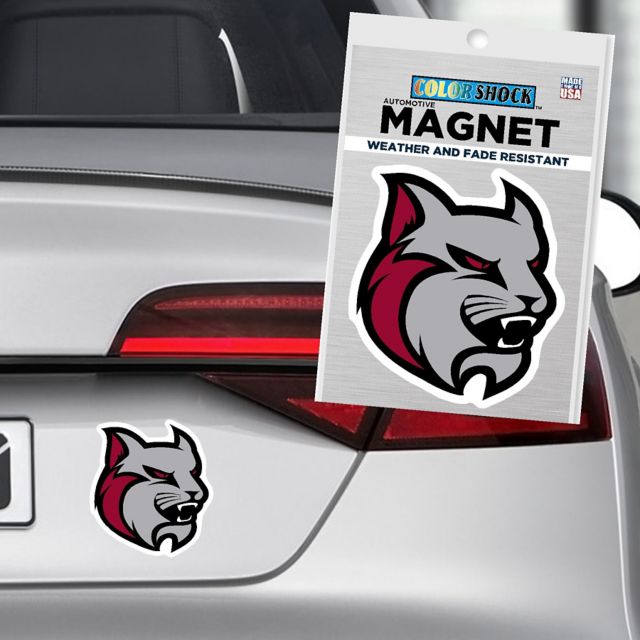 Anna Maria College 4x4 Small Amcats Magnet