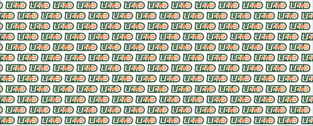 The University of Texas at Dallas 10" Wrapping Paper