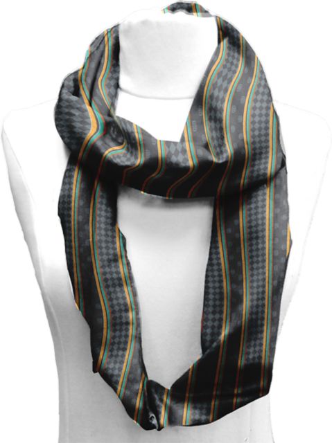 The University of Texas at Dallas 21x70 Infinity Scarf