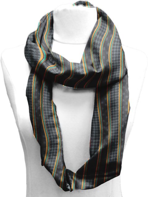 The University of Texas at Dallas 21x70 Infinity Scarf