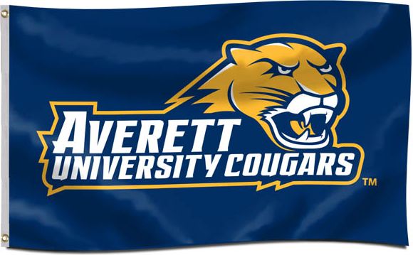 cleaning supplies  Averett University