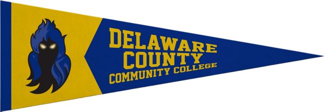 Delaware County Community College - Marple 5x15 Pennant