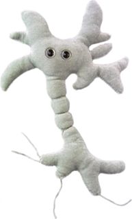 Giant microbes brain cell online