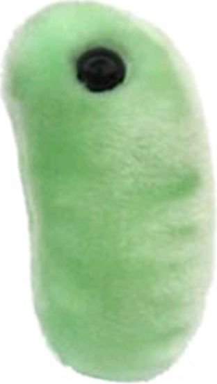 GIANT MICROBES-FLU