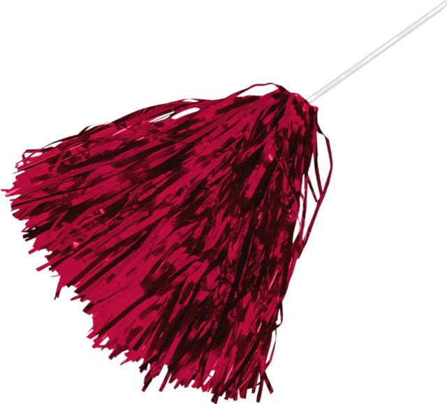 Alabama A&M University Shimmer Pom