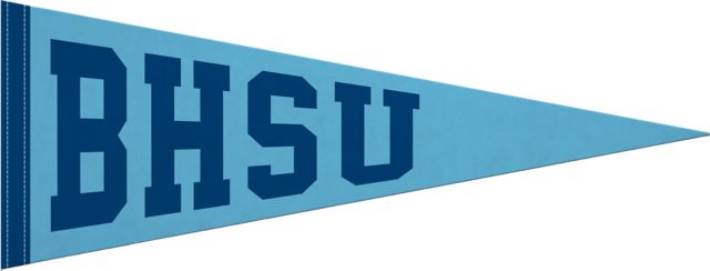 Baptist Health Sciences University 9x24 Pennant