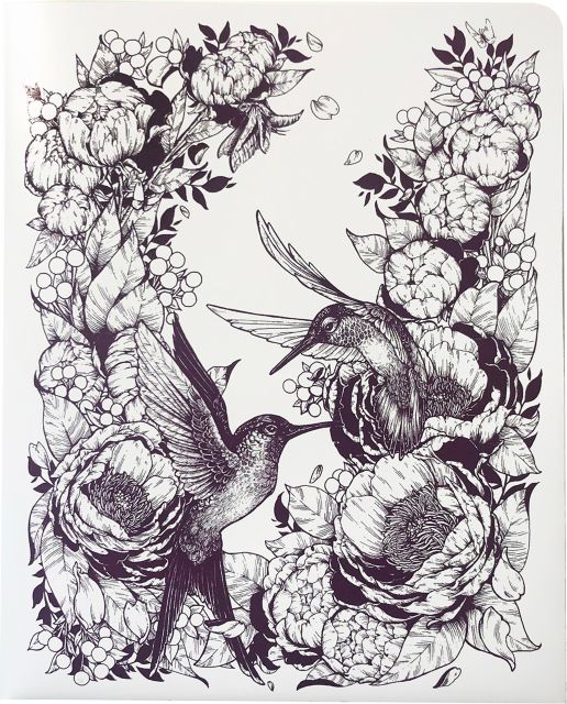 DECOMP FOLDER HUMMINGBIRDS