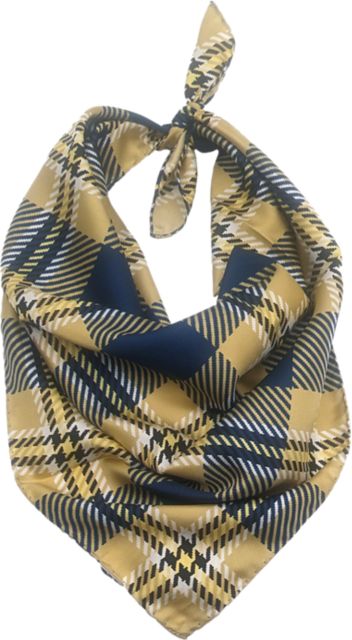 George Washington University Handkerchief