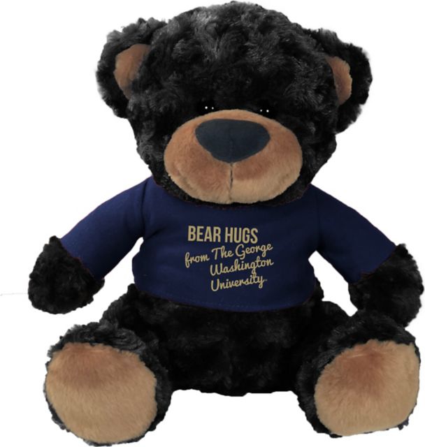 George Washington University 10 in. Plush Bear
