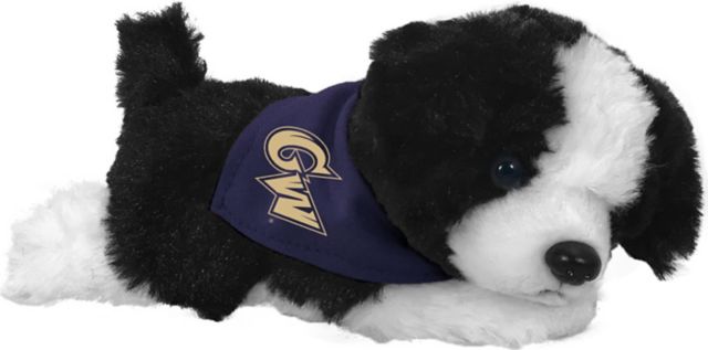 George Washington University 7'' Plush Toy