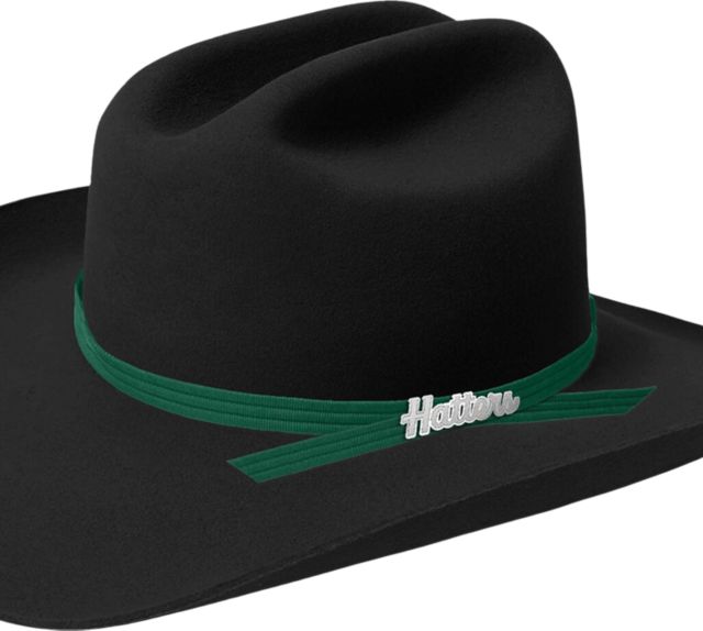Stetson University Gameday Stetson Cowboy Hat
