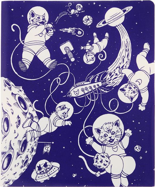 DECOMP FOLDER KITTENS IN SPACE
