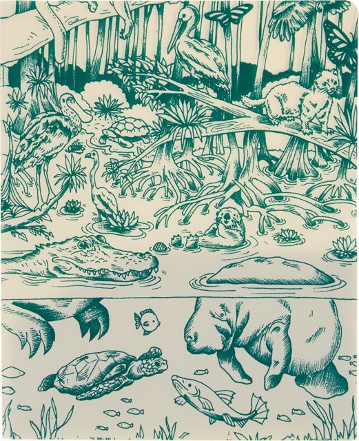 DECOMP FOLDER EVERGLADES